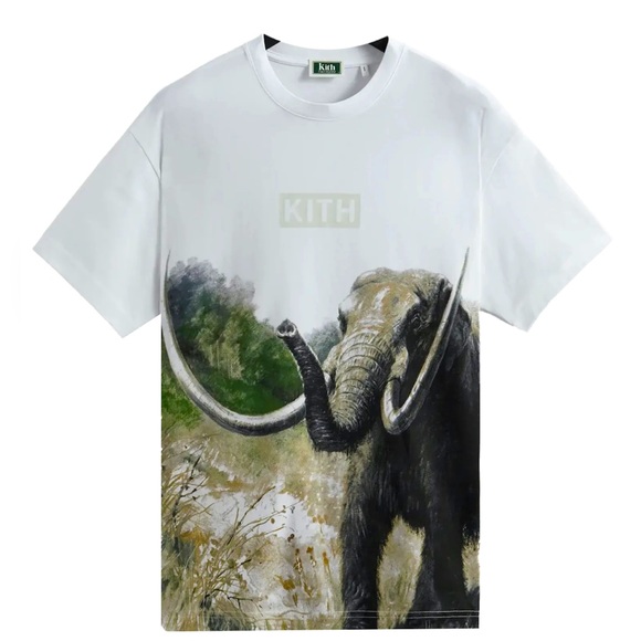 Kith x AMNH Late Mammals Vintage Tee - WHITE - Picture 1 of 4